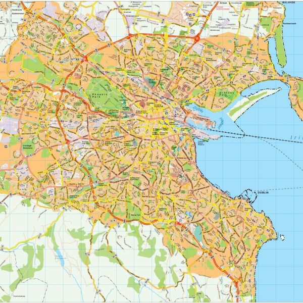 Dublin map vector