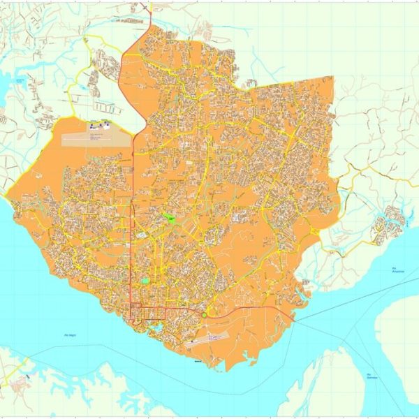 Manaus vector map