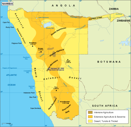 Naminia vegetation map