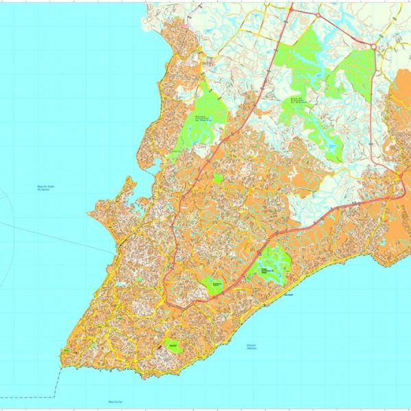 Salvador Bahia vector map