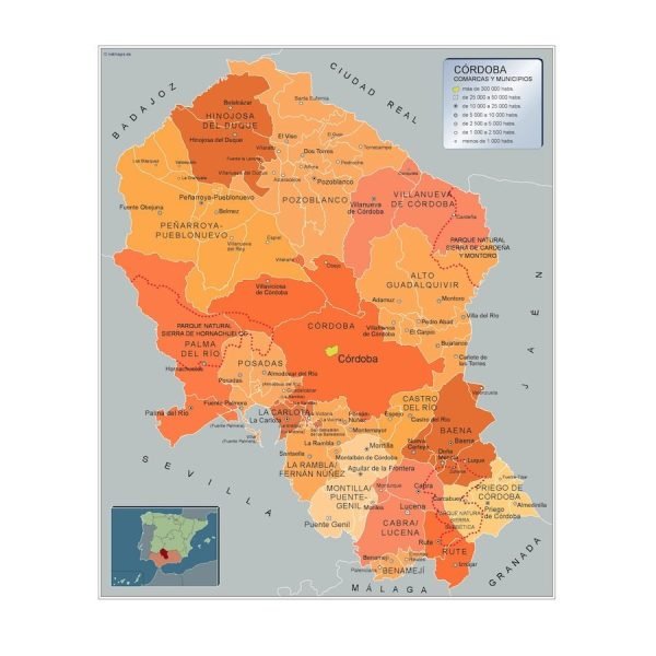 Mapa Municipios Cordoba