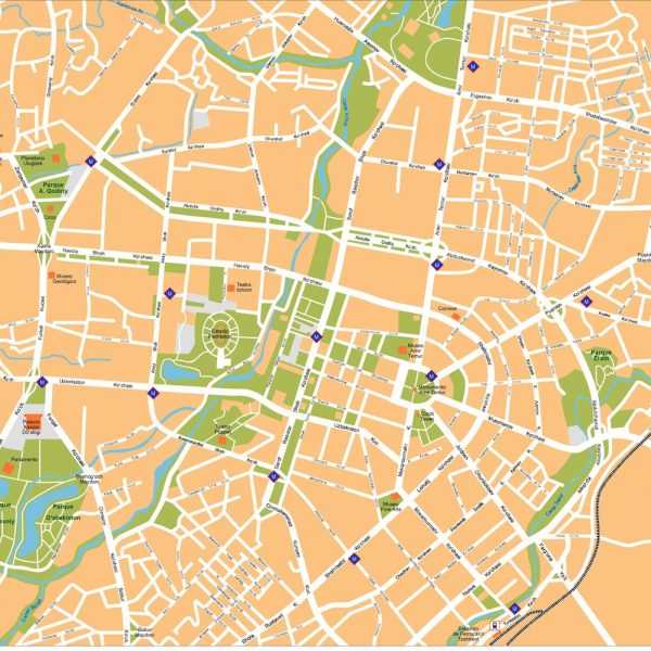 Tashkent Vector Map